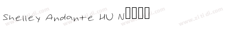 Shelley Andante HU N字体转换